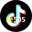 be505 TikTok